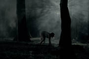 Woods