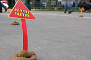 Danger! Dog Poop!